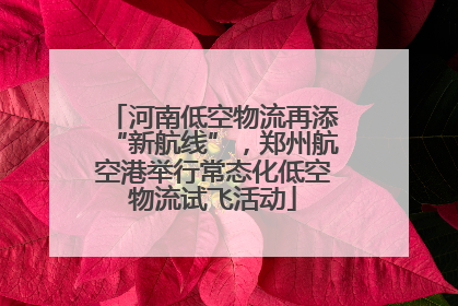 河南低空物流再添“新航线”，郑州航空港举行常态化低空物流试飞活动