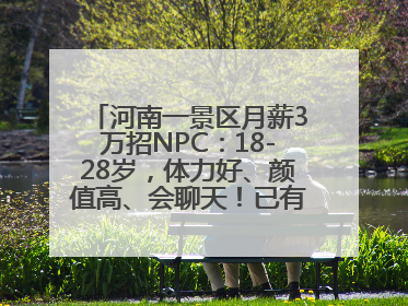 河南一景区月薪3万招NPC：18-28岁，体力好、颜值高、会聊天！已有1000多人应聘