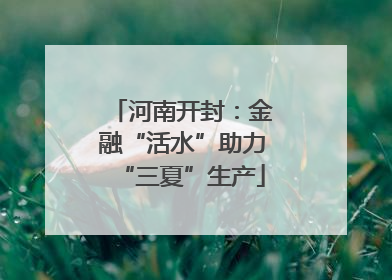 河南开封：金融“活水”助力“三夏”生产