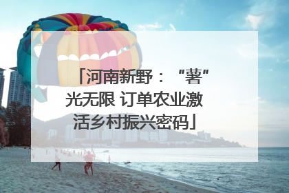 河南新野：“薯”光无限 订单农业激活乡村振兴密码