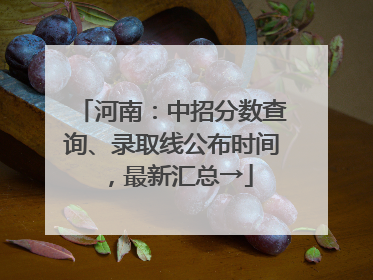 河南：中招分数查询、录取线公布时间，最新汇总→