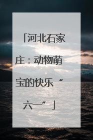 河北石家庄：动物萌宝的快乐“六一”