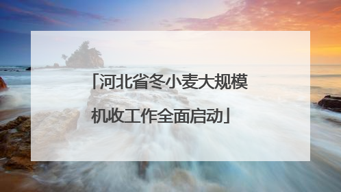河北省冬小麦大规模机收工作全面启动