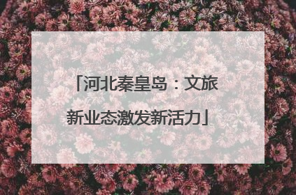 河北秦皇岛：文旅新业态激发新活力