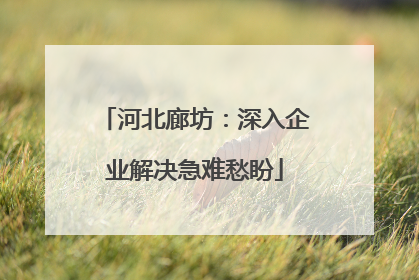 河北廊坊：深入企业解决急难愁盼
