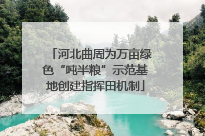 河北曲周为万亩绿色“吨半粮”示范基地创建指挥田机制
