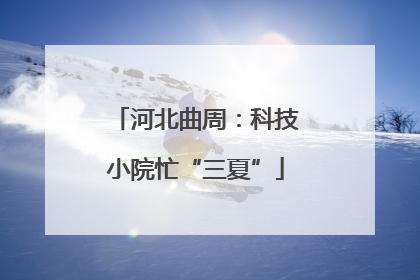河北曲周：科技小院忙“三夏”