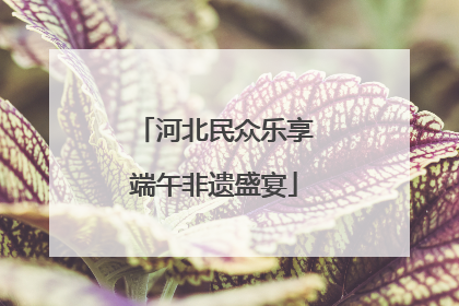 河北民众乐享端午非遗盛宴
