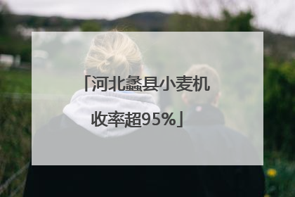 河北蠡县小麦机收率超95%
