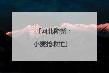 河北隆尧：小麦抢收忙