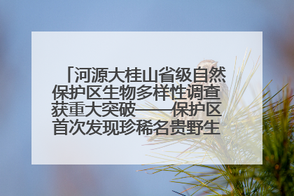 河源大桂山省级自然保护区生物多样性调查获重大突破——保护区首次发现珍稀名贵野生干巴菌与钝尾两头蛇