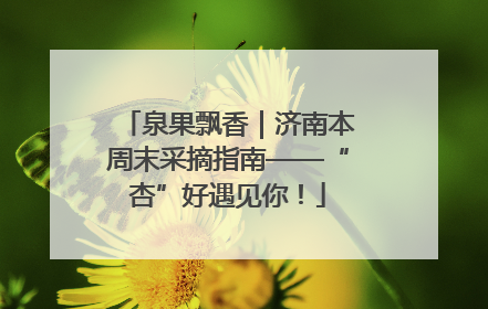 泉果飘香｜济南本周末采摘指南——“杏”好遇见你！