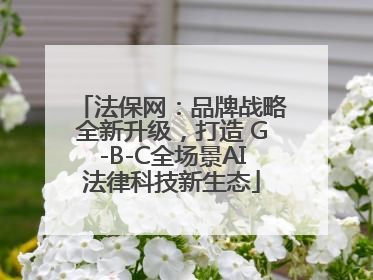 法保网：品牌战略全新升级，打造 G-B-C全场景AI法律科技新生态