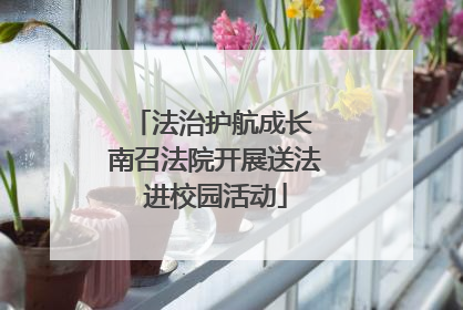 法治护航成长 南召法院开展送法进校园活动