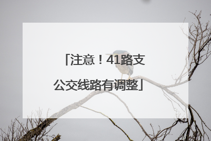 注意！41路支公交线路有调整