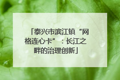 泰兴市滨江镇“网格连心卡”：长江之畔的治理创新