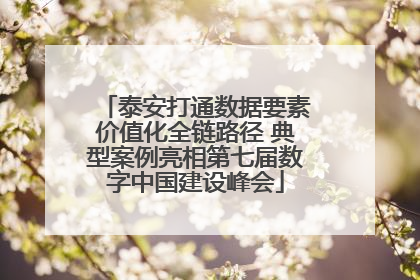 泰安打通数据要素价值化全链路径 典型案例亮相第七届数字中国建设峰会