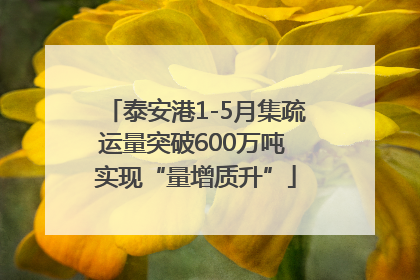 泰安港1-5月集疏运量突破600万吨 实现“量增质升”