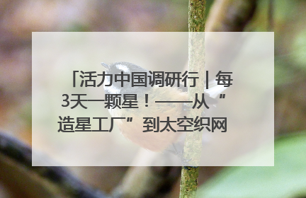 活力中国调研行｜每3天一颗星！——从“造星工厂”到太空织网的“银河速度”