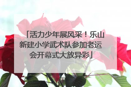 活力少年展风采！乐山新建小学武术队参加老运会开幕式大放异彩