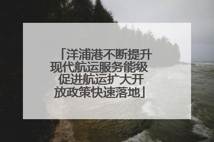 洋浦港不断提升现代航运服务能级 促进航运扩大开放政策快速落地