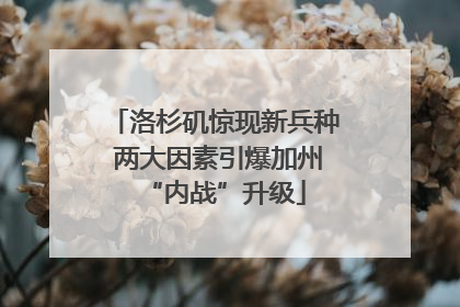 洛杉矶惊现新兵种 两大因素引爆加州“内战”升级