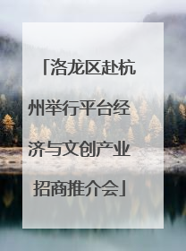 洛龙区赴杭州举行平台经济与文创产业招商推介会
