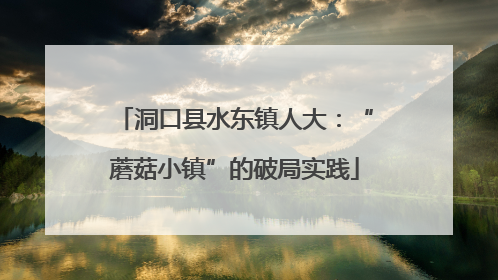 洞口县水东镇人大：“蘑菇小镇”的破局实践