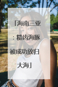 海南三亚：糙齿海豚被成功放归大海