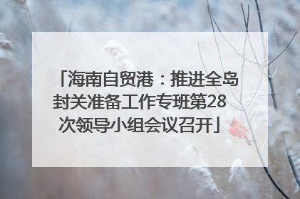 海南自贸港：推进全岛封关准备工作专班第28次领导小组会议召开