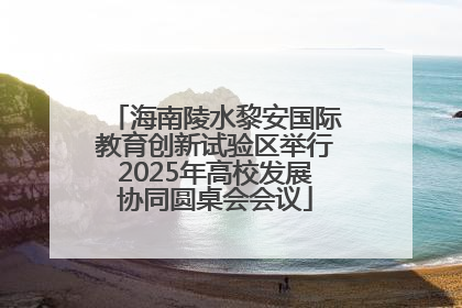 海南陵水黎安国际教育创新试验区举行2025年高校发展协同圆桌会会议