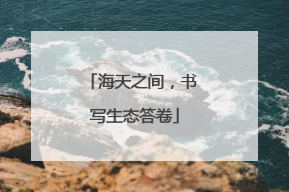 海天之间，书写生态答卷