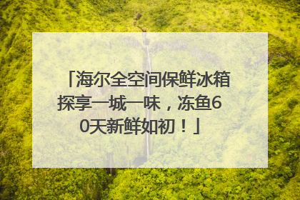 海尔全空间保鲜冰箱探享一城一味，冻鱼60天新鲜如初！