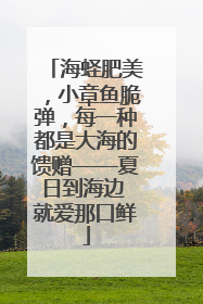 海蛏肥美，小章鱼脆弹，每一种都是大海的馈赠——夏日到海边 就爱那口鲜