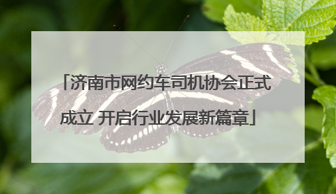 济南市网约车司机协会正式成立 开启行业发展新篇章