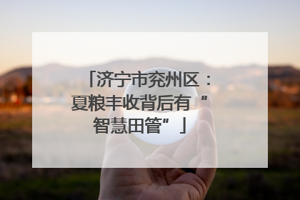 济宁市兖州区：夏粮丰收背后有“智慧田管”