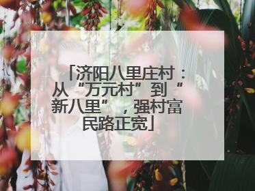 济阳八里庄村：从“万元村”到“新八里”，强村富民路正宽
