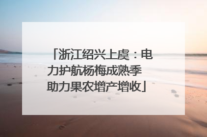 浙江绍兴上虞：电力护航杨梅成熟季 助力果农增产增收