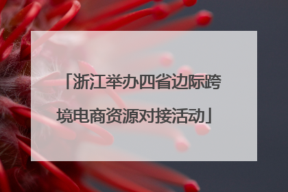 浙江举办四省边际跨境电商资源对接活动
