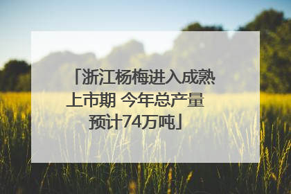 浙江杨梅进入成熟上市期 今年总产量预计74万吨