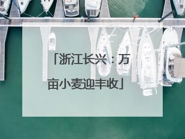 浙江长兴：万亩小麦迎丰收