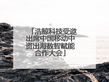 浩鲸科技受邀出席中国移动中资出海数智赋能合作大会