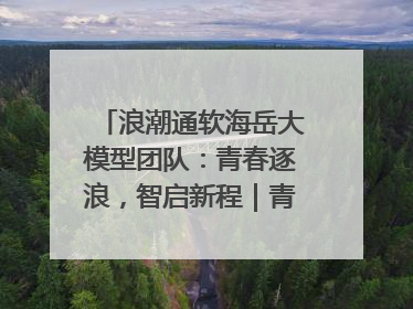 浪潮通软海岳大模型团队：青春逐浪，智启新程｜青春思政课
