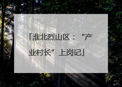 淮北烈山区：“产业村长”上岗记