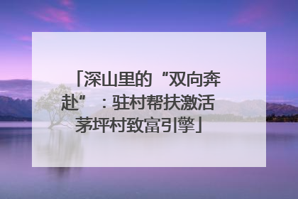深山里的“双向奔赴”：驻村帮扶激活茅坪村致富引擎