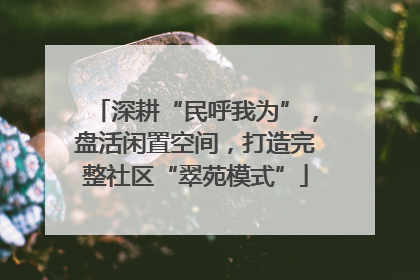 深耕“民呼我为”，盘活闲置空间，打造完整社区“翠苑模式”