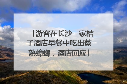 游客在长沙一家桔子酒店早餐中吃出蒸熟蟑螂，酒店回应