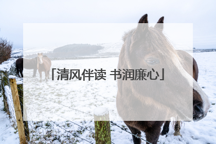 清风伴读 书润廉心