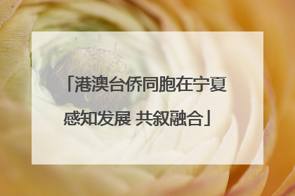 港澳台侨同胞在宁夏感知发展 共叙融合
