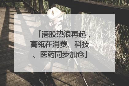 港股热浪再起，高瓴在消费、科技、医药同步加仓